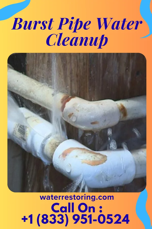 Burst Pipe Water Cleanup in New Union, AL